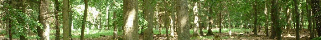 Fußbanner